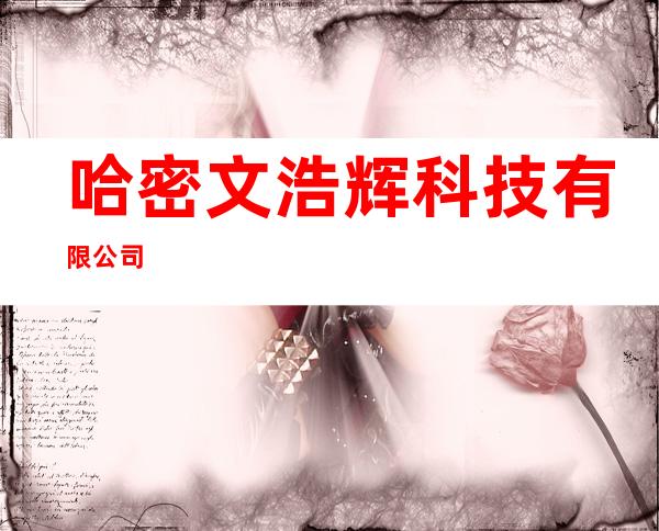 哈密文浩辉科技有限公司