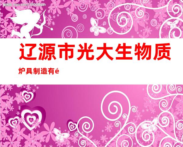 辽源市光大生物质炉具制造有限公司