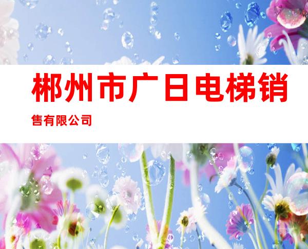 郴州市广日电梯销售有限公司